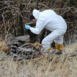 6 g&uuml;nd&uuml;r aranıyordu, cesedi par&ccedil;alanmış halde bulundu!