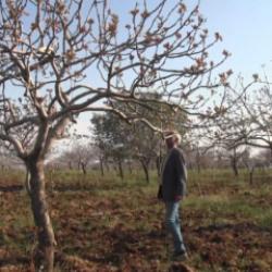 Şanlıurfa'da "doğal bereket" &ccedil;ift&ccedil;inin y&uuml;z&uuml;n&uuml; g&uuml;ld&uuml;rd&uuml;