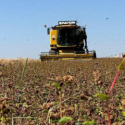 Bakanlık duyurdu: Destekleme &ouml;demeleri hesaplara yatırıldı