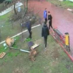 Adana&rsquo;da kuş yuvasını par&ccedil;alayan 4 &lsquo;SS&Ccedil;&rsquo;ye ev hapsi