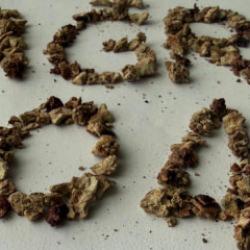 Ameliyata alınan hastadan 295 adet b&ouml;brek taşı &ccedil;ıkarıldı!