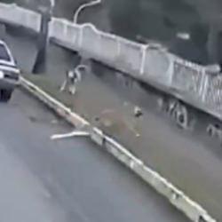 Aracıyla sokak k&ouml;peğine kasten &ccedil;arpan şahıs kamerada!