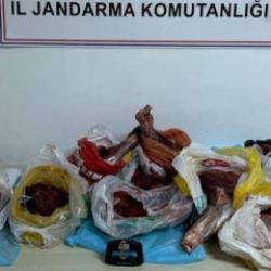 Artvin'de 60 kilo yaban domuzu eti ele ge&ccedil;irildi