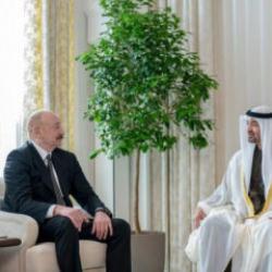 Azerbaycan Cumhurbaşkanı Aliyev, BAE Devlet Başkanı Nahyan ile bir araya geldi