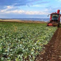 Bakan Yumaklı duyurdu: &Ccedil;ift&ccedil;iye 1,7 milyar liralık dev hibe desteği