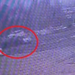 Bing&ouml;l'de otomobiller &ccedil;arpıştı: 2 &ouml;l&uuml;, 4 yaralı