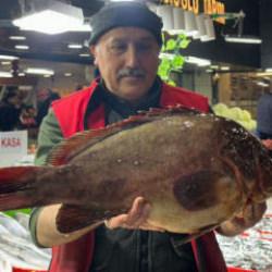 &Ccedil;eyrek altın getiren dev balığı alıyor! Nadir bulunan balık Sivas'ta satışa &ccedil;ıktı