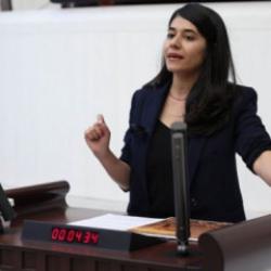 DEM'li vekilden akla ziyan iddia: K&uuml;rtlere K&uuml;rt oldukları i&ccedil;in trafik cezası kesiliyor