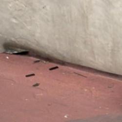 İstanbul'da nefes kesen operasyon: Delilleri camdan attılar!