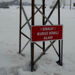 Hakkari'de bir eşekte kuduz tespit edildi! K&ouml;y karantinaya alındı