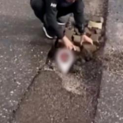 İzmir&rsquo;de bozuk yolu vatandaş onardı