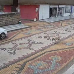 Mardin'de sokak k&ouml;peklerinin saldırdığı &ccedil;ocuğu esnaf kurtardı