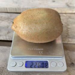 Grip salgını talebi patlattı Avrupa'nın dikkatini &ccedil;ekti! Kivilerin tanesi 220 gram geliyor