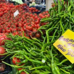 Seraları su bastı, kilosu 250 TL'ye y&uuml;kseldi!