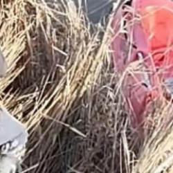 Sinop'ta yasa dışı avcılık denetimleri kapsamında 5 kişi hakkında işlem yapıldı