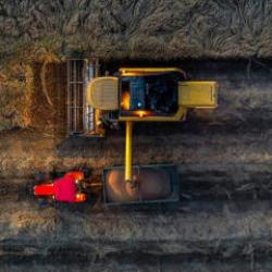 Son yağışlar buğdayda rekor &uuml;retim beklentisini b&uuml;y&uuml;tt&uuml;