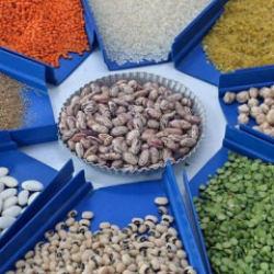 Tarım, gıda ve i&ccedil;ecek sekt&ouml;r&uuml;nden 2025'te 27,79 milyar dolarlık ihracat