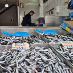 Tezgahlarda hamsi d&ouml;nemi kapandı: Artık yeni kral o! Kilosu 100 lira