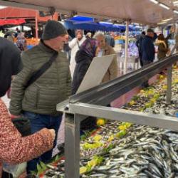 Tezgahlarda merakla bekleniyordu: "Hamsi T&uuml;rkiye sınırlarına girdi"