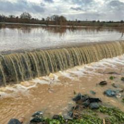 Uşak'ta dere taştı, tarım arazilerini su bastı