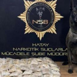 Zeytinyağı tenekelerinden 100 bin uyuşturucu hap &ccedil;ıktı