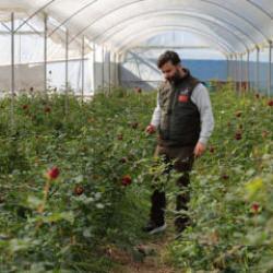 14 Şubat &ouml;ncesi sevgilileri &uuml;zecek haber! Fiyatları daha da y&uuml;kselecek