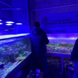 Bakanlık devreye girdi: 85 binden fazla hayvan ele ge&ccedil;irildi!