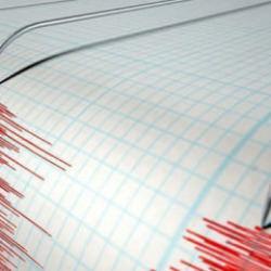 Ege Denizi'nde 4 b&uuml;y&uuml;kl&uuml;ğ&uuml;nde deprem