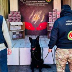 G&uuml;mr&uuml;k muhafaza ekiplerinden zehir tacirlerine 4,6 milyar liralık dev darbe