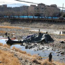 G&uuml;ney Kore'de askeri helikopter d&uuml;şt&uuml;