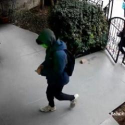 İstanbul'da bir grup &ccedil;ocuk, veteriner kliniğine torpil atıp ka&ccedil;tı