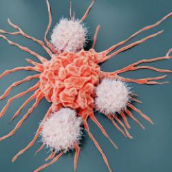 Kansere yol a&ccedil;tığı ortaya &ccedil;ıktı! T&uuml;ketmeden &ouml;nce 1 kez daha d&uuml;ş&uuml;n&uuml;n