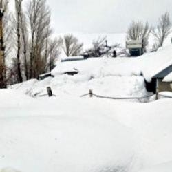 Kar Van&rsquo;ı esir aldı: Mahalleler izole oldu, evler kara g&ouml;m&uuml;ld&uuml;