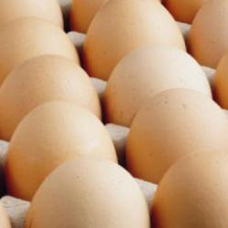 Kişi başına d&uuml;şen yumurta &uuml;retimi 15 adet azaldı