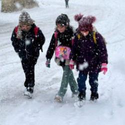 Van'da eğitime 1 g&uuml;n ara verildi