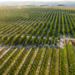 Avrupa 2040'da 2 kat gen&ccedil; &ccedil;ift&ccedil;i hedefliyor, tarımda gelecek gen&ccedil;lerle bi&ccedil;ilecek