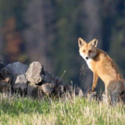 Bakanlık devrede! Yeni &ouml;nlemler alınacak