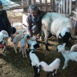 Denizli'de besiciler g&ouml;rd&uuml;ğ&uuml; manzara karşısında sevin&ccedil;ten havalara u&ccedil;tu! 