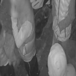 Bunlar nasıl &ccedil;ocuk! Evine giden adama sebepsiz yere tekme tokat saldırdılar