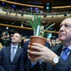 Cumhurbaşkanı Erdoğan'dan ağa&ccedil; kesen CHP'ye tepki: Lafa gelince &ccedil;evreciler!