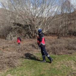 Diyarbakır'da 15 g&uuml;nd&uuml;r kayıp olan engelliyi 112 kişilik ekip arıyor