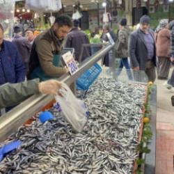 Hamsi bolluğu s&uuml;r&uuml;yor: Kilosu 200 lira