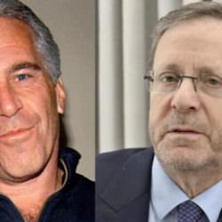 Herzog'dan Epstein'la ilişkisi iddialarına cevap