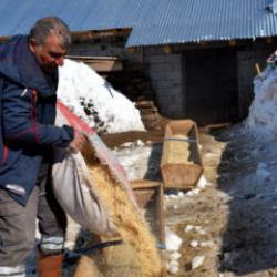 İstanbul'dan k&ouml;y&uuml;ne d&ouml;nd&uuml;: 4 yılda 100'den 680'e y&uuml;kseltti 