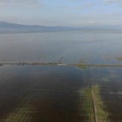 Kahramanmaraş'ta sağanak yağış vurgunu! 20 bin d&ouml;n&uuml;m arazi sular altında