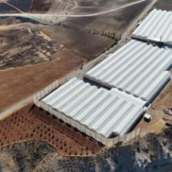 Kazan&ccedil;sız araziye ekti, aldığı riskle bayram etti 