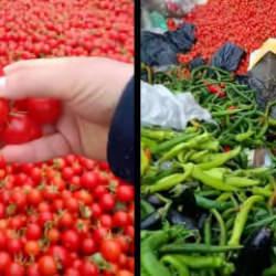 Kilolarca sağlam sebze &ccedil;&ouml;pe atıldı! Vicdansızlık vatandaş kamerasında