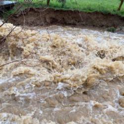 Manisa'da dereler taştı; tarım arazileri su altında kaldı
