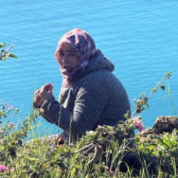 Evladı i&ccedil;in falezlere &ccedil;ıkan anne: Hayvanlar bile bırakmıyor yavrularını nasıl bırakayım?