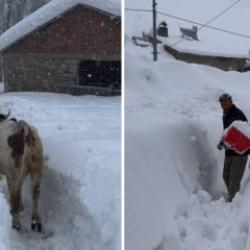 Karların altında kaybolan k&ouml;y! Tunceli'de sıradışı anlar